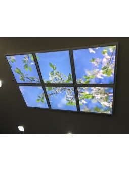 Ciel 1 - 6 dalles de 60x60